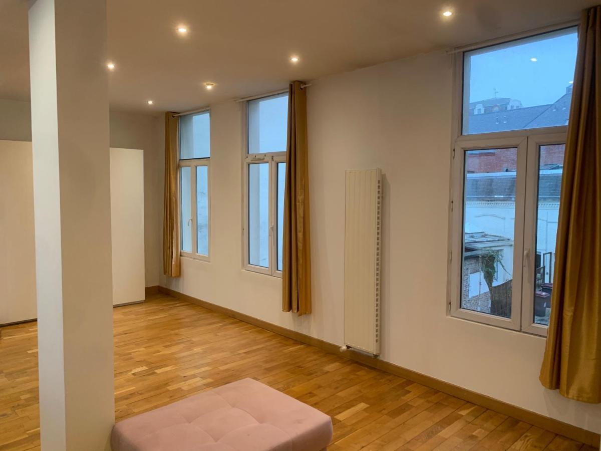 Spacieux 100 M2 Pour 7 Personnes En Plein Centre-Ville Λιλ Εξωτερικό φωτογραφία